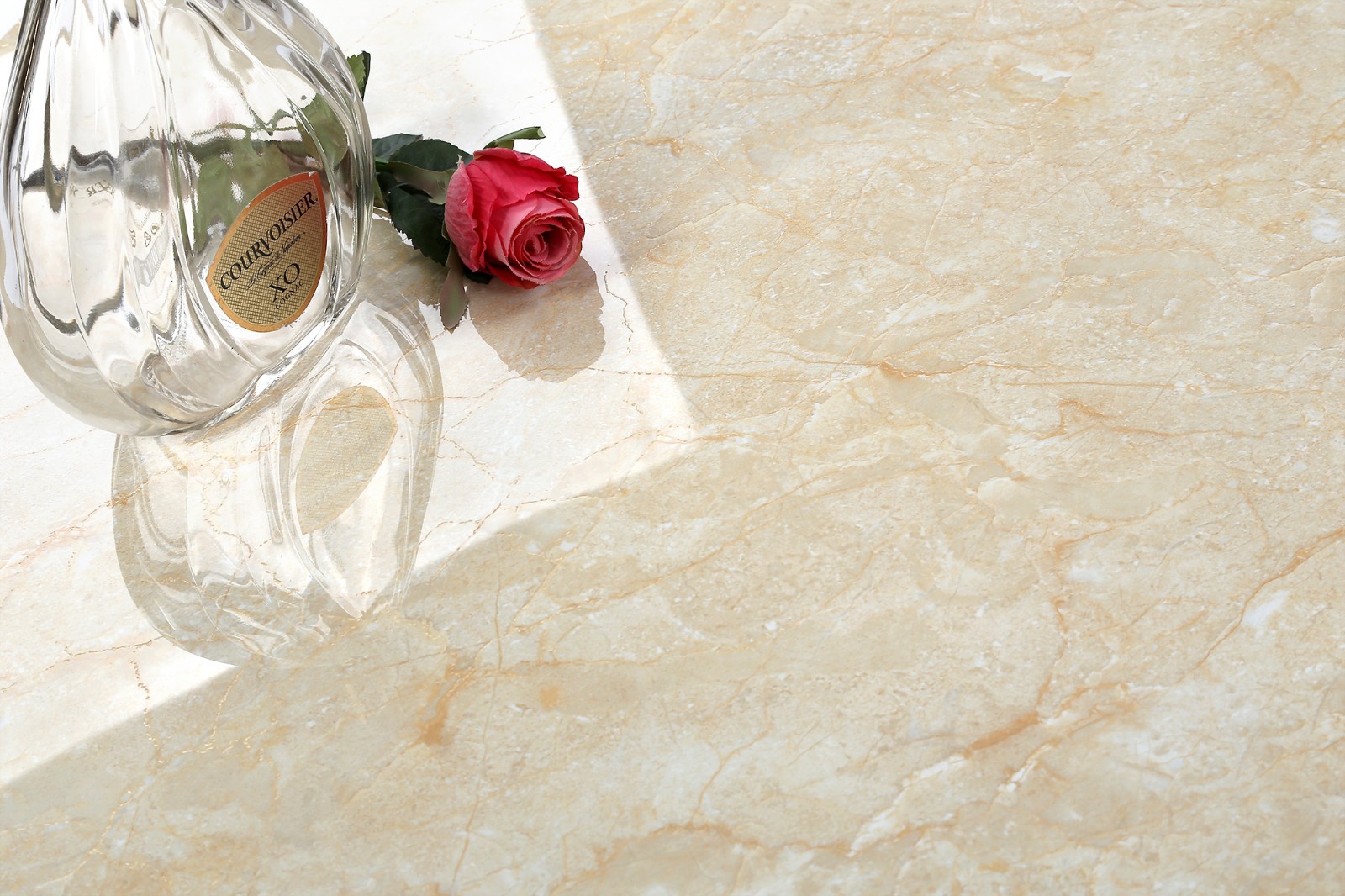 2017_04_05_6779.JPG 2017_04_05_6779.JPG